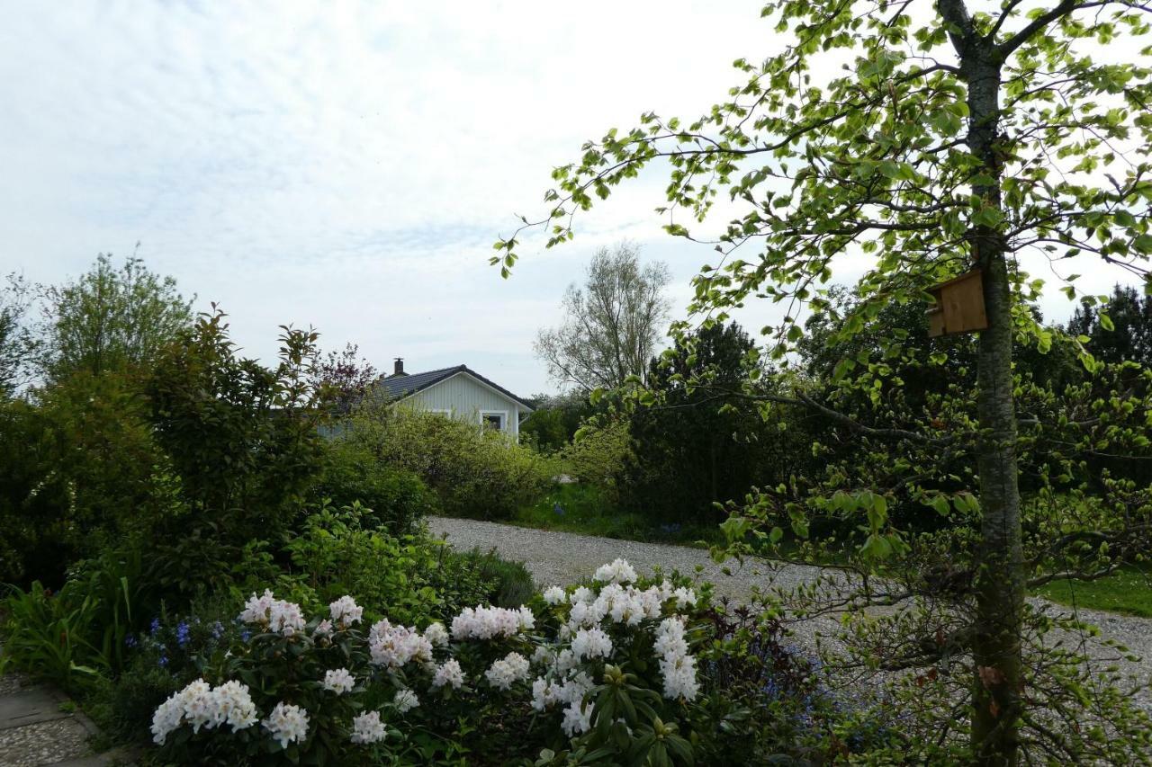 Ferienhaus-Lachmoewe Kappeln Exteriör bild